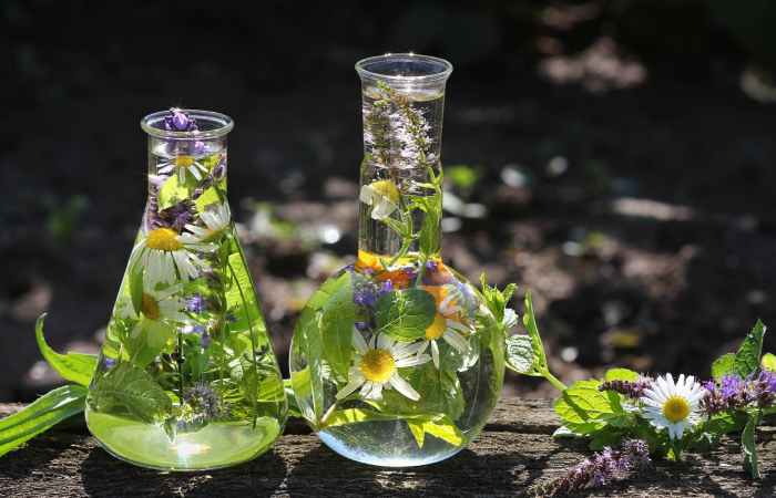 Herbal Write For Us