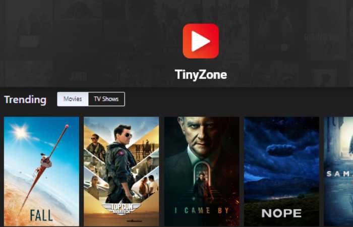 How to download movies on TinyZone