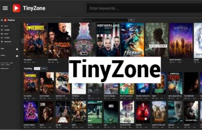 Why Is Tinyzone Not Working_