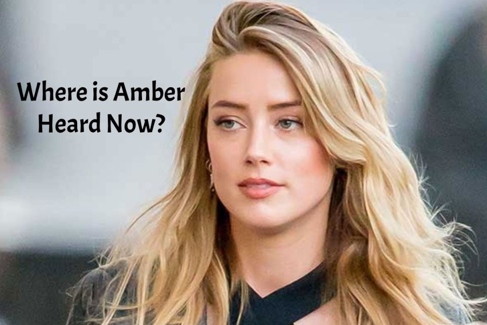 where is amber heard now