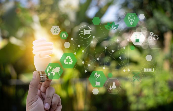 Ecoseg Offers A Wide Range Of Services, Including