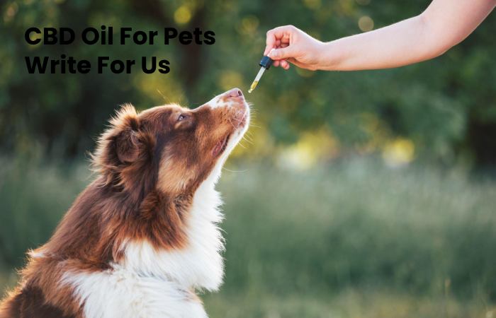 CBD Oil For Pets Write For Us - Submit Posts, And Guest Post