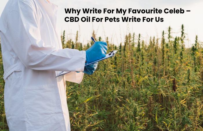 Why Write For My Favourite Celeb – CBD Oil For Pets Write For Us