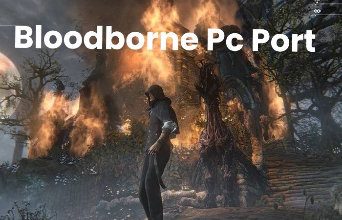 Bloodborne pc Everything You Need To Know (1)
